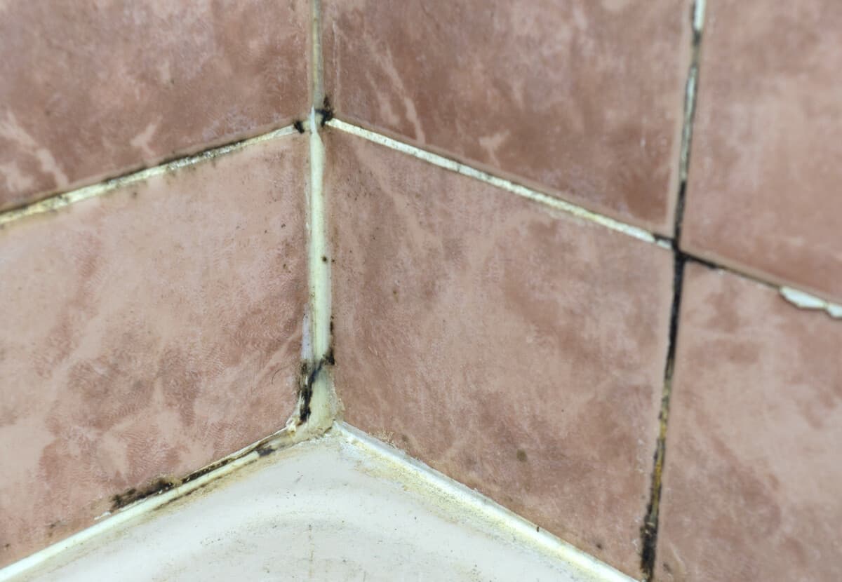 Steam Cleaning Cure to Prevent Grout Damage Purely Steam
