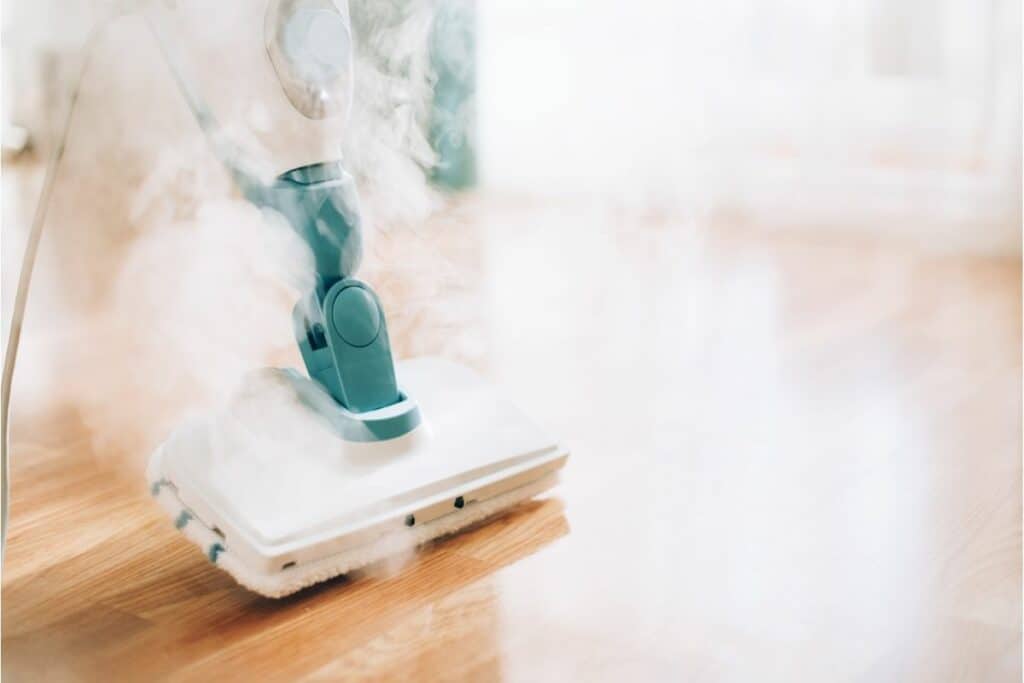 Picture of a steam floor cleaner.