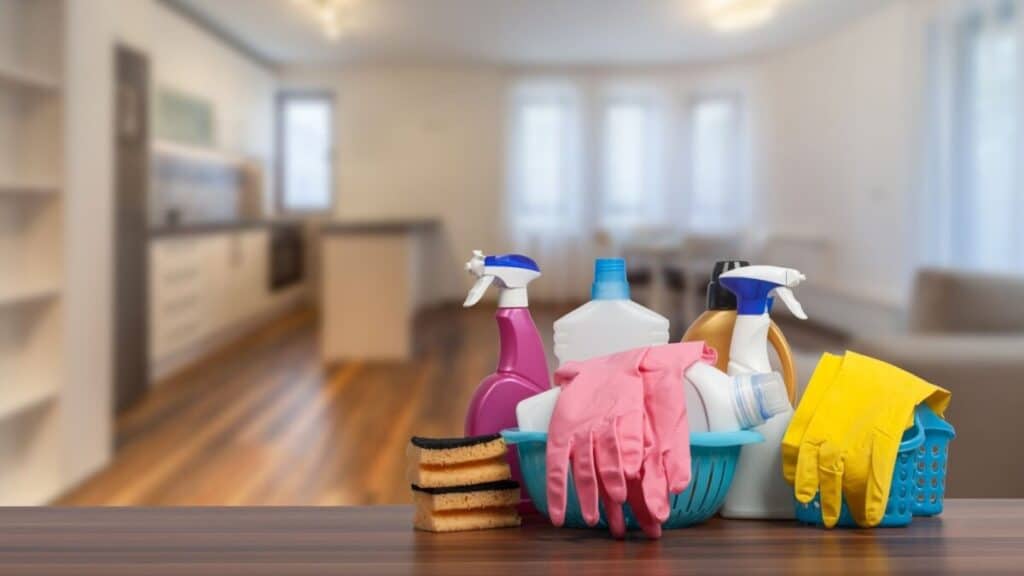 Picture of products used to clean a house.